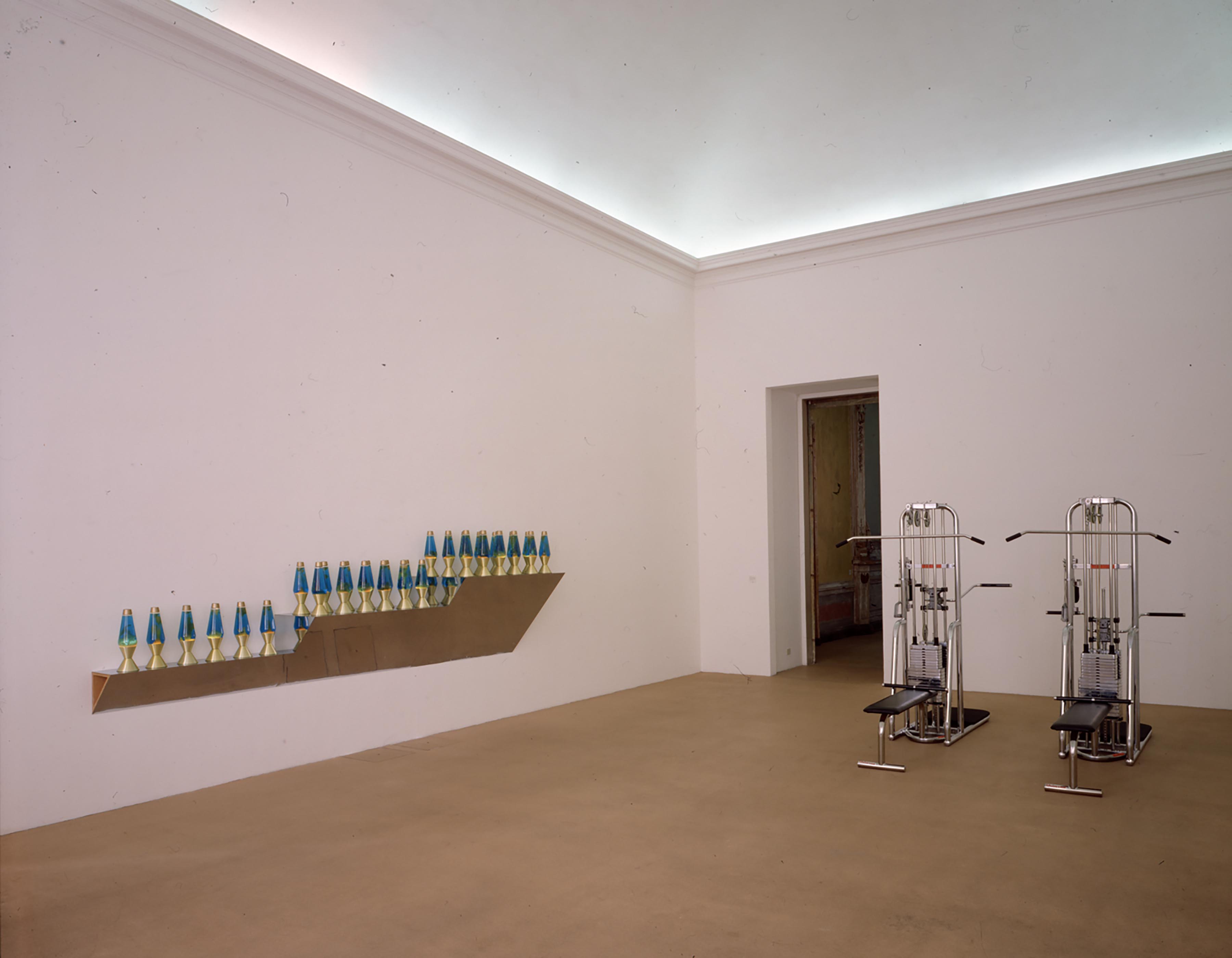 Haim Steinbach, Spirit I, 1987
